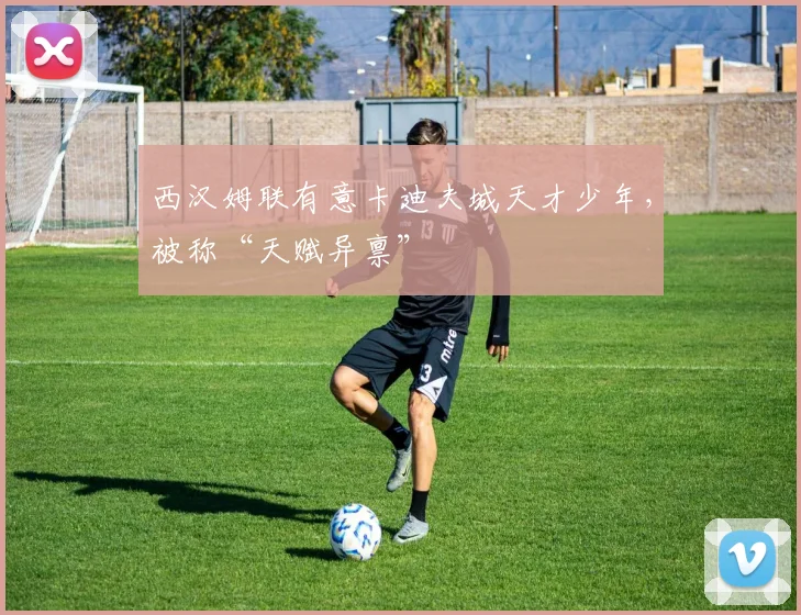 西汉姆联有意卡迪夫城天才少年，被称“天赋异禀”